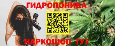 амф Шелехов